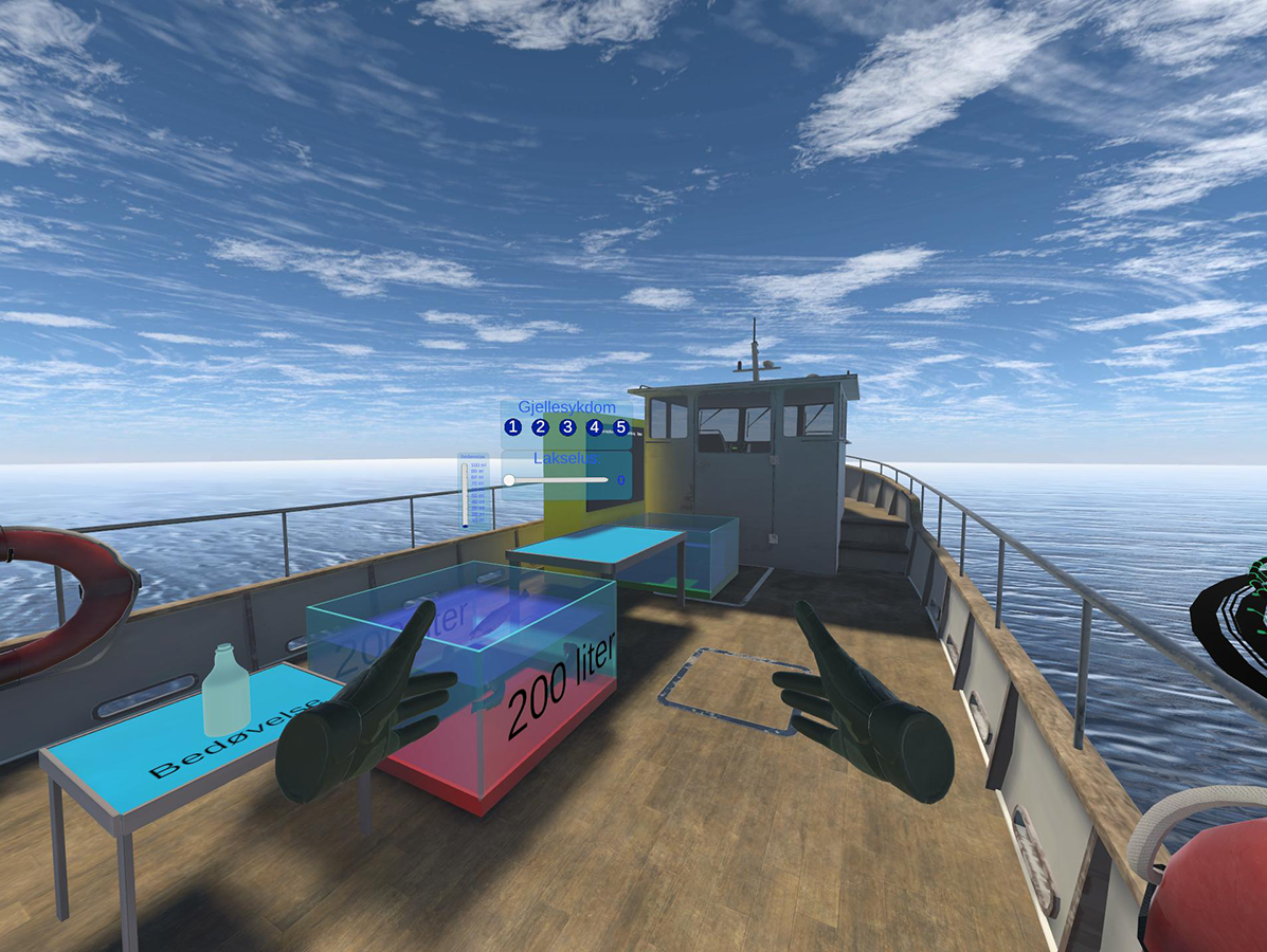 VR4VET Blue sector