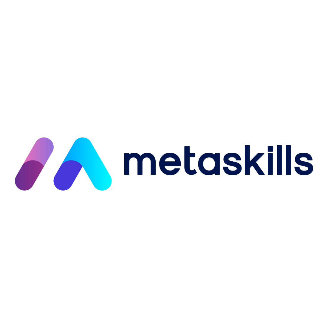 Metaskills